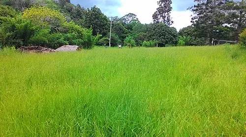 朴门永续(自然农法):大自然是最好的老师